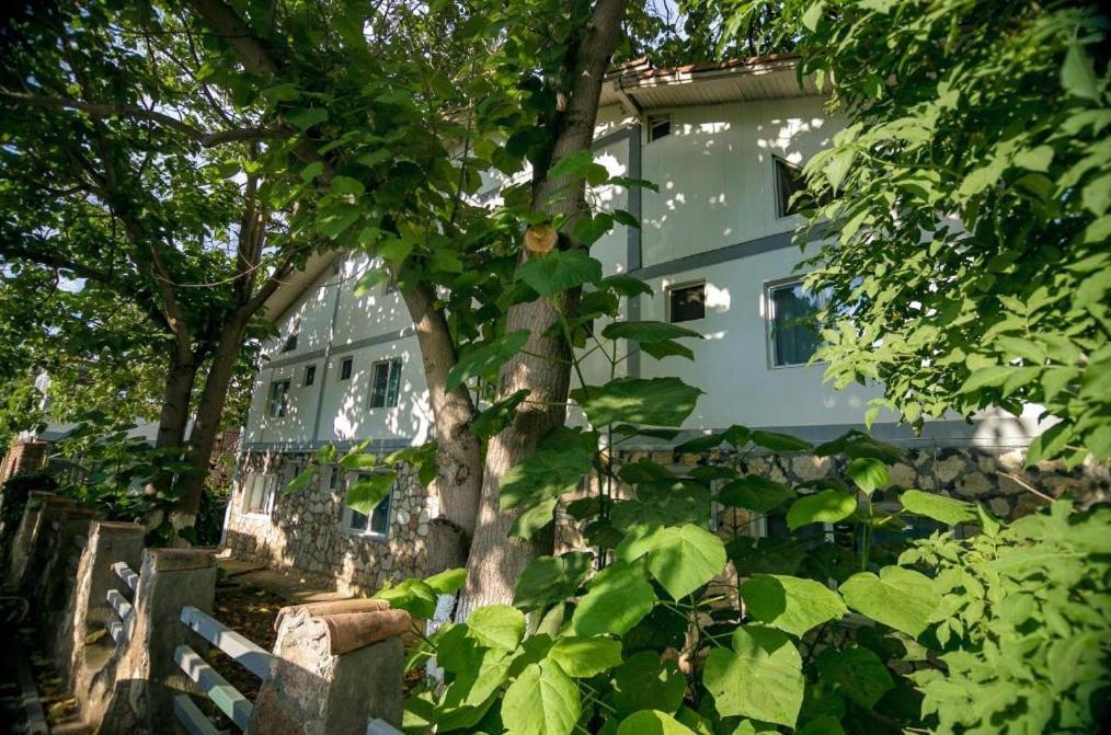 Bam Hotel Vama Veche Exterior foto